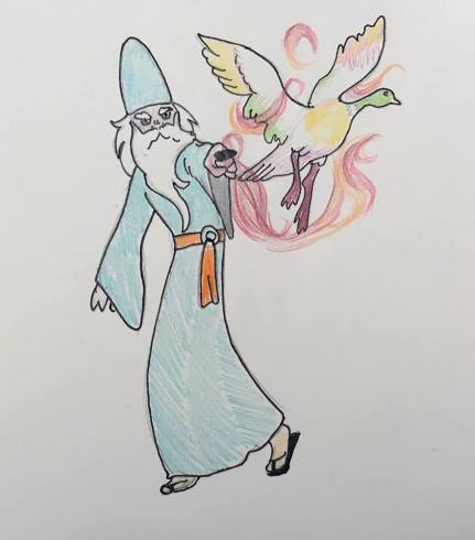 duck wizard