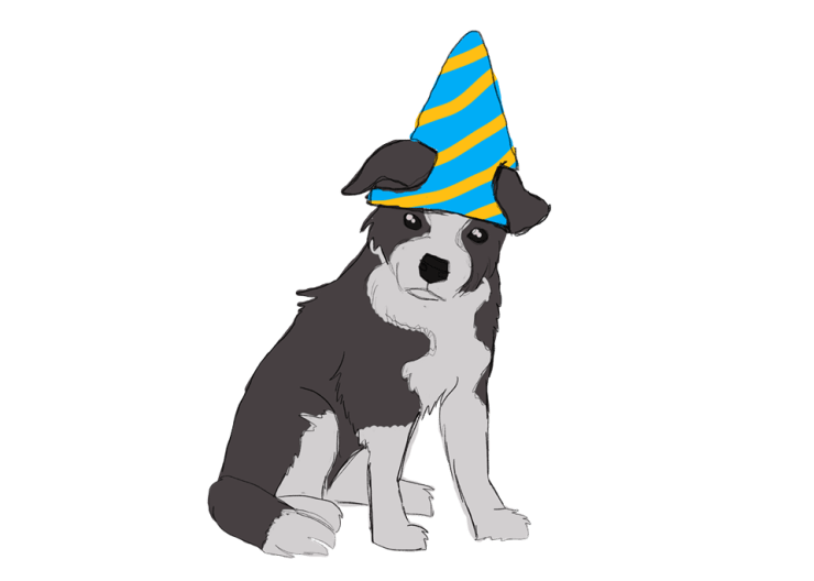 puppy_wizard